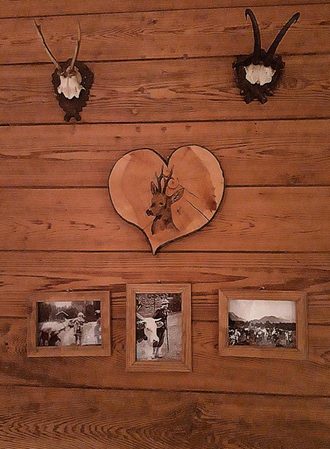Hotel Berggasthof Karntner Alm Mittenwald Zewnętrze zdjęcie